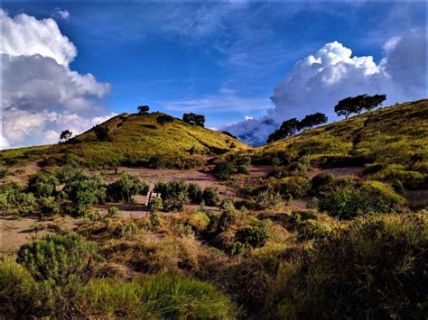 De Stille Nacht van Yogyakarta! - Een Weerspiegeling van Tranquillity en Koloniale Verhoudingen in het werk van Mochtar Apak